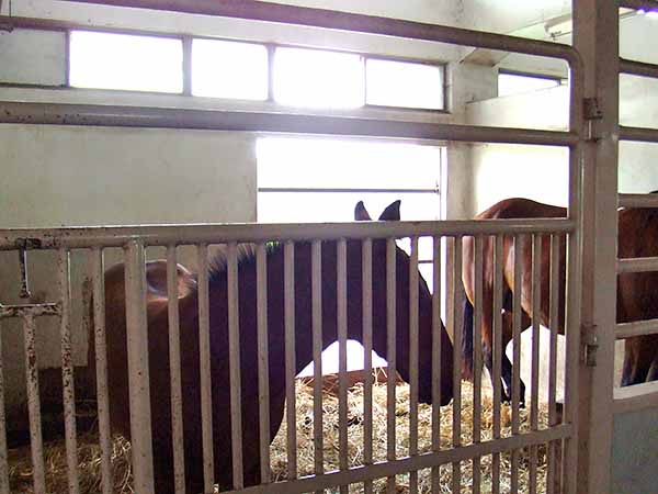 外山牧場と岩手の歴史　高根沢御料牧場