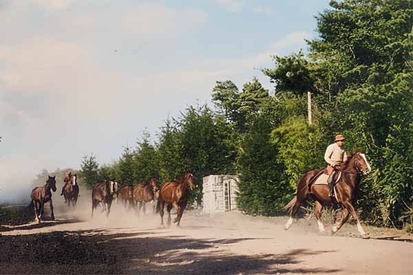 外山牧場の歴史