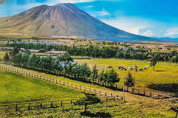 外山牧場の歴史