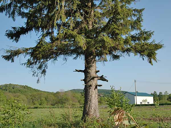 外山御料牧場(過去と現在)