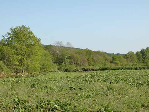 外山御料牧場(過去と現在)