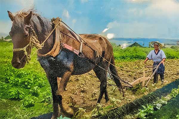 外山牧場の歴史