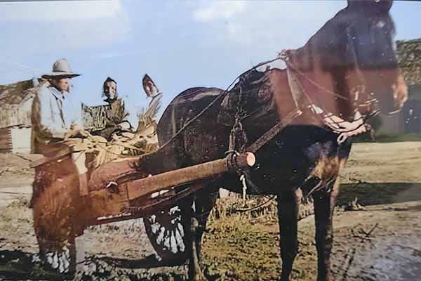外山牧場と岩手の歴史