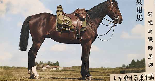 外山牧場と岩手の歴史