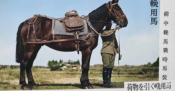 外山牧場と岩手の歴史