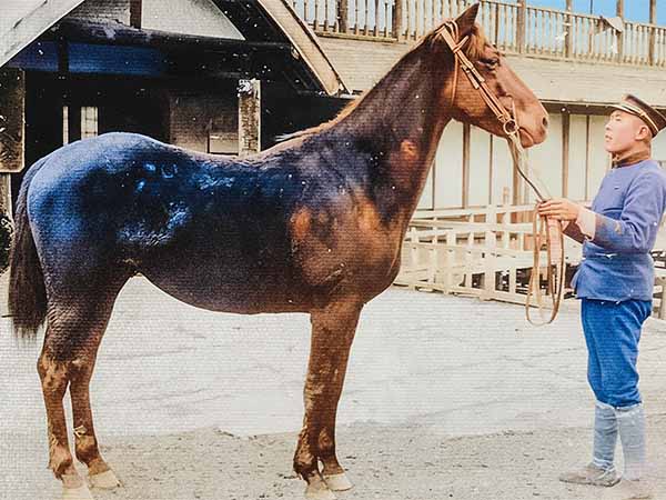 外山牧場と岩手の歴史