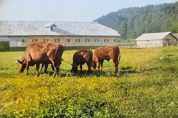 外山牧場と岩手の歴史 外山御料牧場