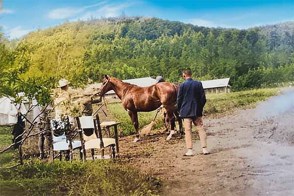 外山牧場と岩手の歴史