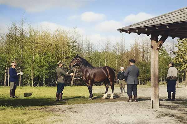 外山牧場と岩手の歴史