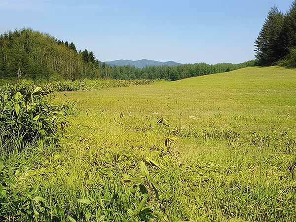 外山牧場と岩手の歴史　深沢 勘一（薮川そば 主の記録）1