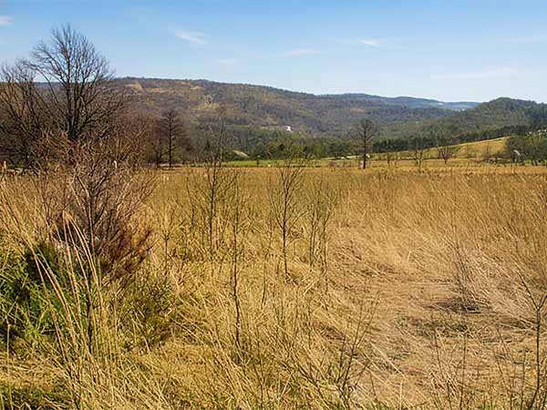 外山牧場と岩手の歴史　深沢 勘一（薮川そば 主の記録）1