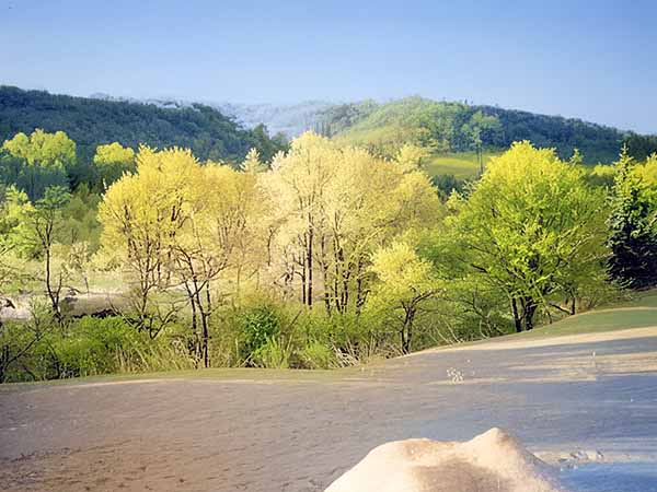 外山牧場と岩手の歴史　深沢 勘一（薮川そば 主の記録）1
