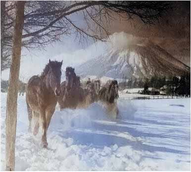 外山牧場と岩手の歴史 岩手県種畜場