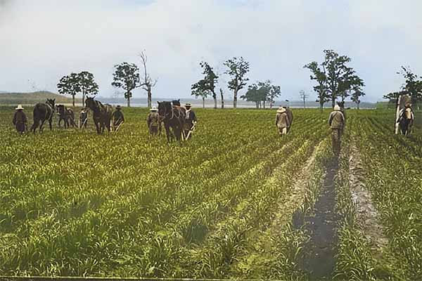 外山牧場と岩手の歴史 外山御料牧場