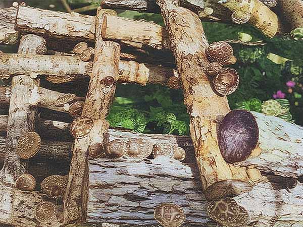 外山牧場と岩手の歴史　佐藤 圭（顕彰碑建立にあたって）2