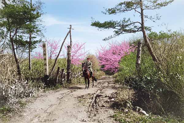 外山牧場と岩手の歴史 外山御料牧場