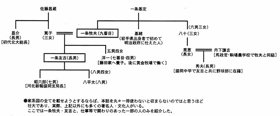 一條家 家系図(要約)