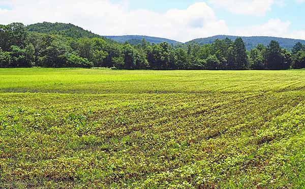 紀行座談会（外山牧場探訪）