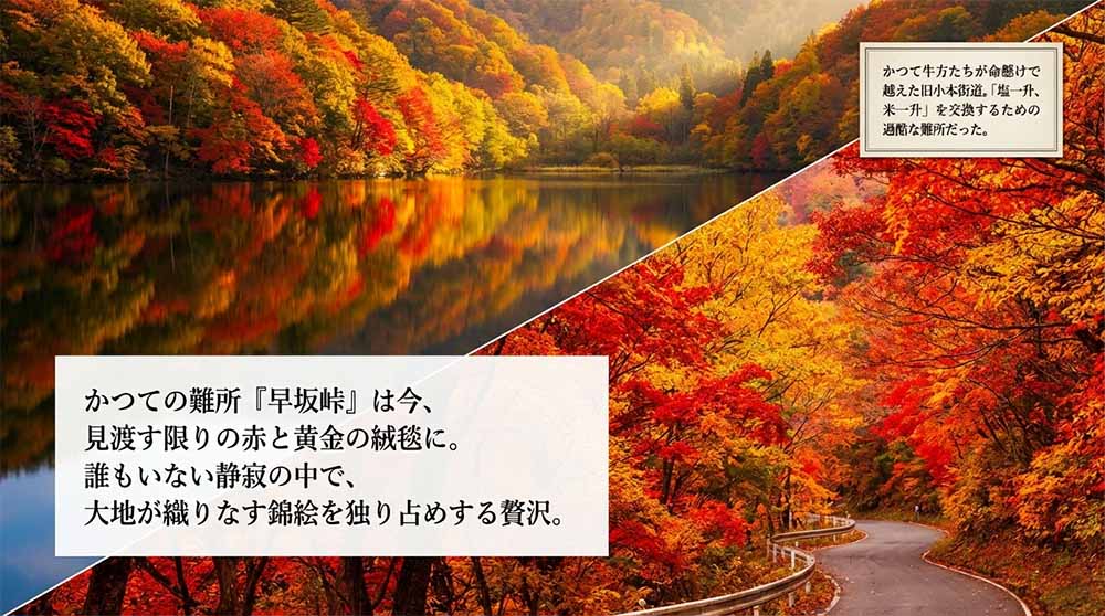 外山牧場と薮川地区の自然 スライド