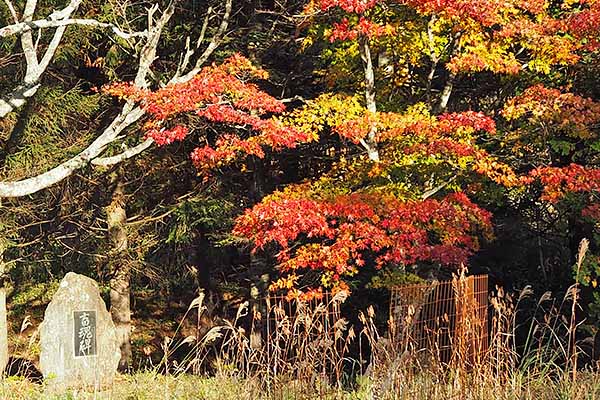 岩手県農業研究センター畜産研究所の外山畜産研究室