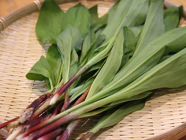 名産品、薮川の行者にんにく