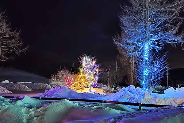 まほら岩手　氷の祭典
