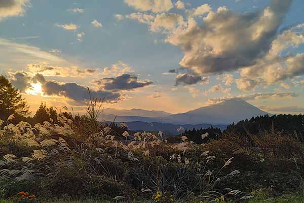 天峰山より岩手山(帰り)