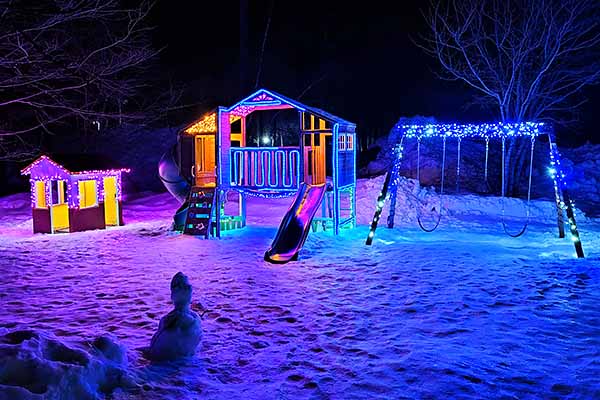 まほら岩手　氷の祭典