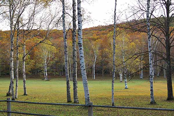 静かなキャンプ場