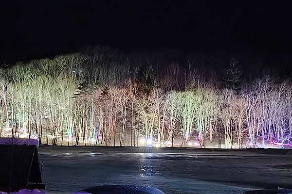 まほら岩手　氷の祭典