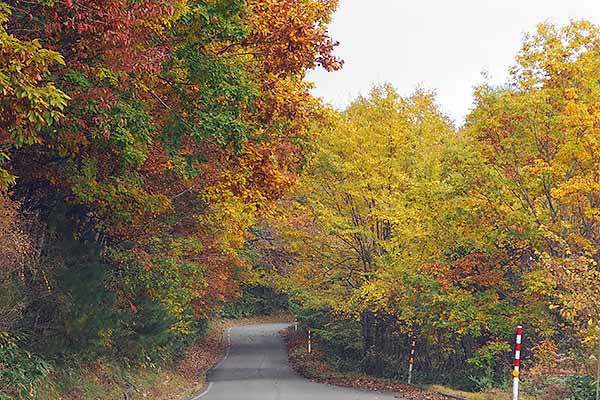 紅葉の岩洞湖ドライブ
