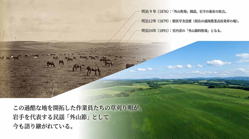 外山牧場と薮川地区の自然 スライド