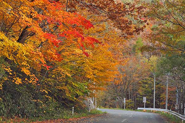 早坂峠へ向かう