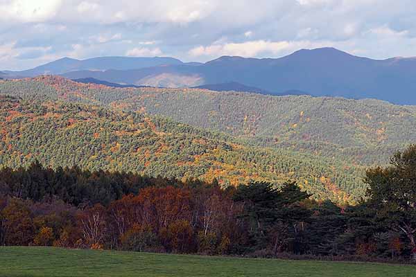 早坂峠周辺の牧場