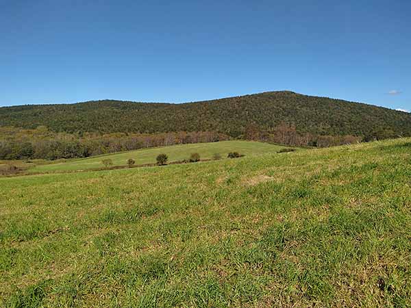 気持ち良い放牧地の脇を走る