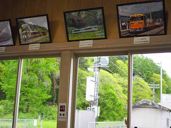 様々な写真が展示されている