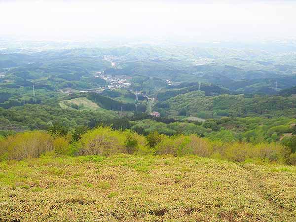 5月、新緑のグラデーションが美しい