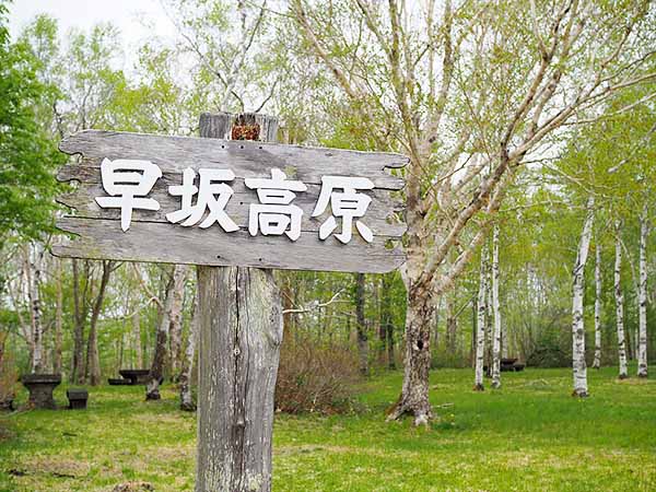 早坂高原に到着!