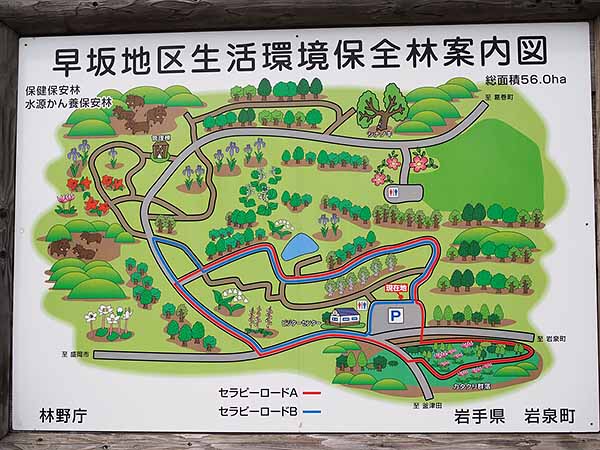 早坂高原・案内図