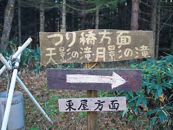 整備されている散策路