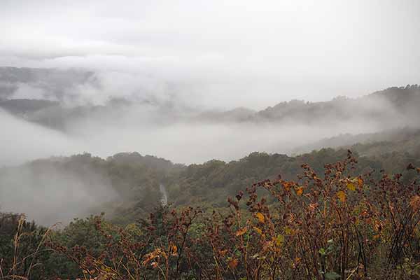 外山の秋(紅葉の絨毯)2025