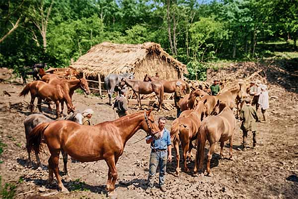 北ノ又放牧小屋